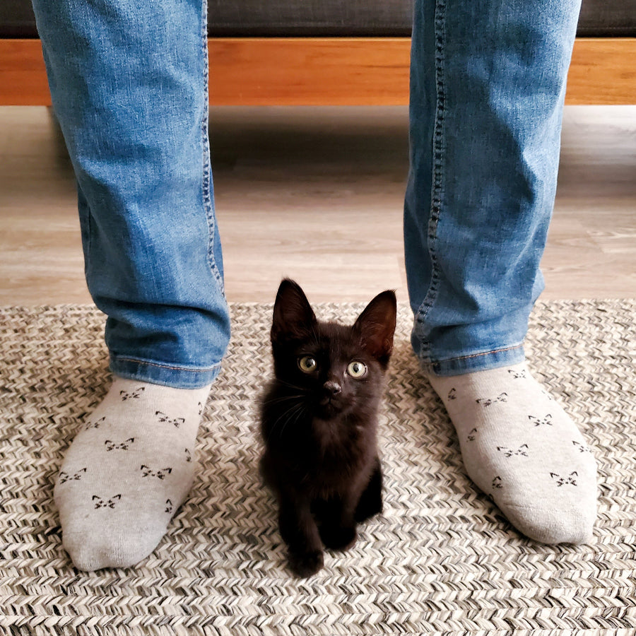 Conscious Step Socks that Save Cats - handcrafted socks