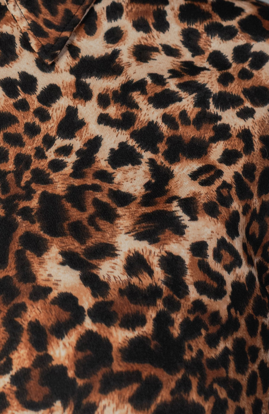 Riley Wide Leg Pant - Leopard