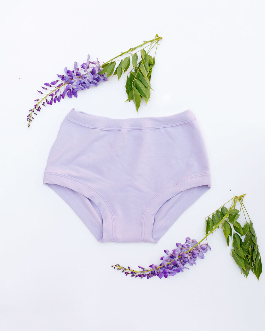 Flat lay view of the Thunderpants US Wisterial Girl purple-grey organic cotton briefs styled with wisteria flowers on a white background.