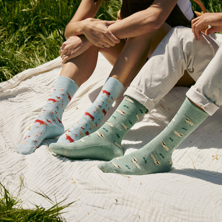 Two people sitting together outdoors on a picnic blanket, one wearing light blue farm animal socks and the other wearing green Valais Blacknose sheep socks.