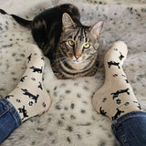 High-angle view of someone wearing Conscious Step cat socks relaxing on a faux fur rug next to a brown tabby cat.