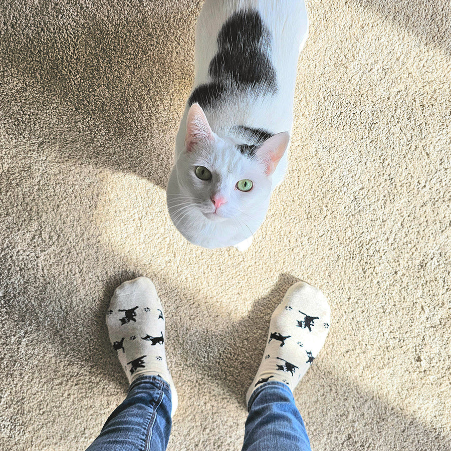 Overhead perspective of someone wearing Conscious Step cat socks standing on carpet while looking down at a white and black cat.
