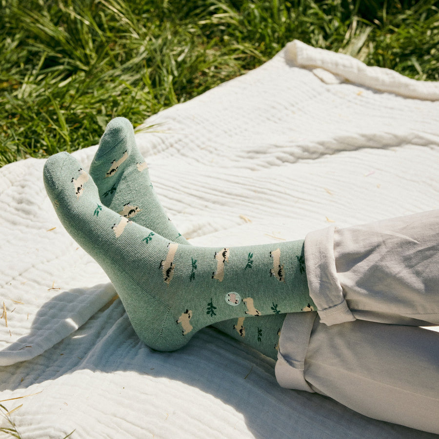 Close-up view of someone lying on a white blanket on grass wearing green Conscious Step Valais Blacknose sheep print socks.