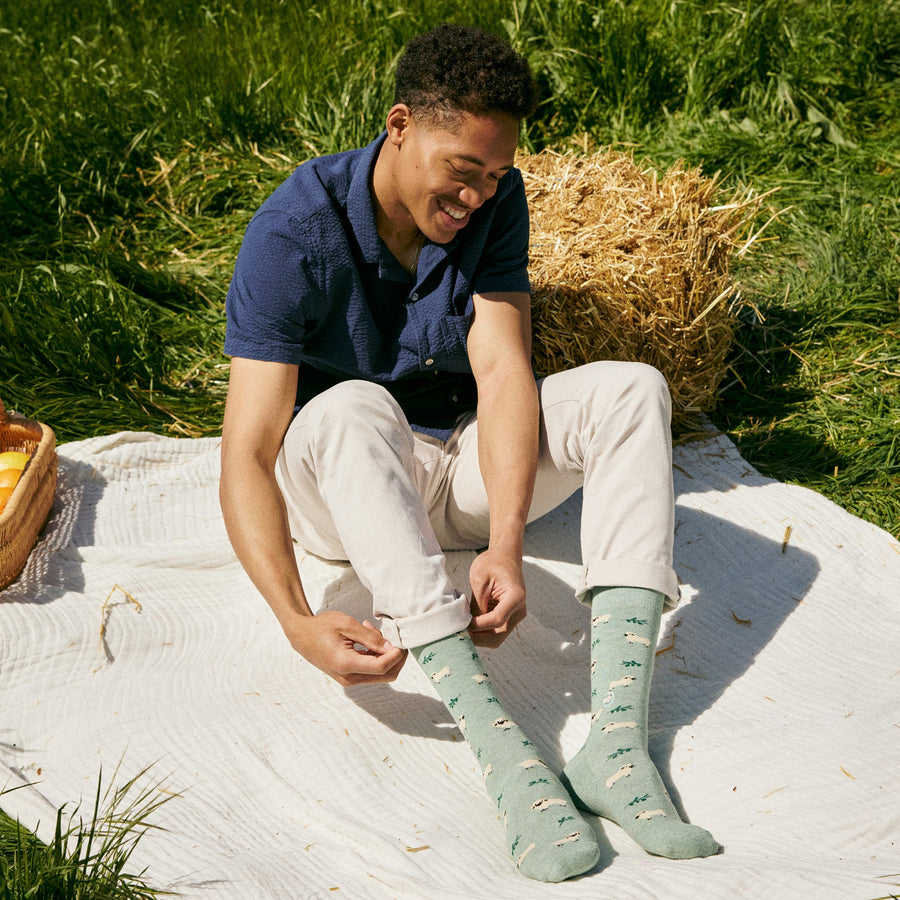 Man sitting on a picnic blanket outdoors adjusting his Conscious Step green Valais Blacknose sheep print socks.