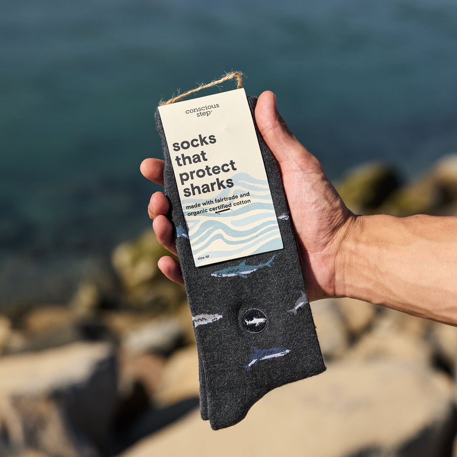 A close-up of a hand holding a packaged pair of dark gray Conscious Step shark socks against a background of a rocky shoreline and sea water.