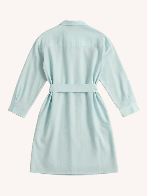 Reistor Short Tie Waist Dress in Summer Blue - plus size dress, back view